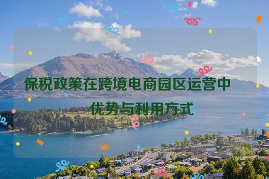 保稅政策在跨境電商園區(qū)運(yùn)營中的優(yōu)勢與利用方式