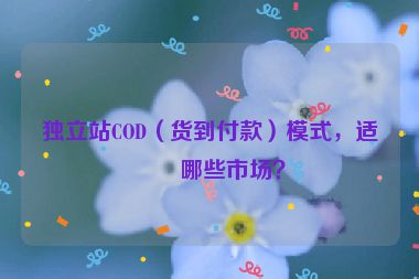 獨立站COD（貨到付款）模式，適合哪些市場？