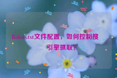 Robots.txt文件配置，如何控制搜索引擎抓??？