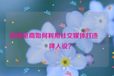 跨境電商如何利用社交媒體打造品牌人設？