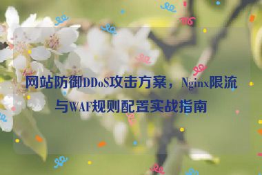 網(wǎng)站防御DDoS攻擊方案，Nginx限流與WAF規(guī)則配置實戰(zhàn)指南