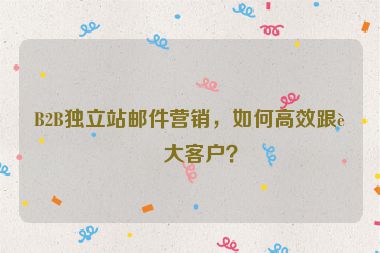 B2B獨立站郵件營銷，如何高效跟進大客戶？